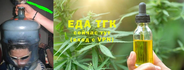 гидра Богородск