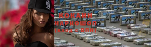 гидра Богородск