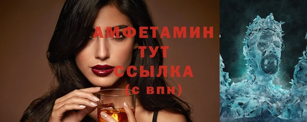 гидра Богородск
