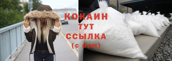 гидра Богородск