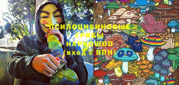 мдпв Богданович