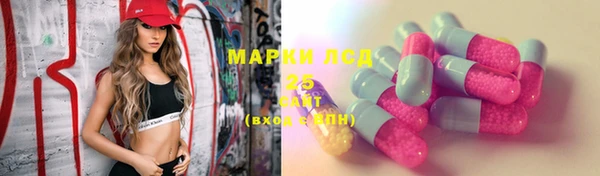 МДПВ Богородицк