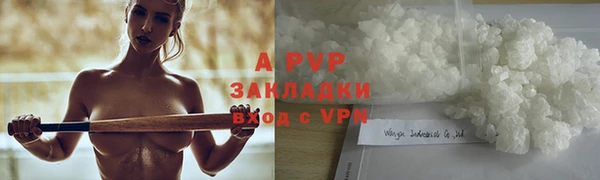 гидра Богородск