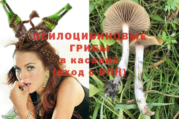 мдпв Богданович