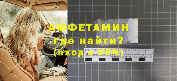 гидра Богородск
