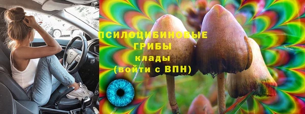 мдпв Богданович