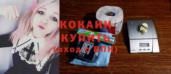 гидра Богородск