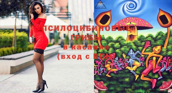 мдпв Богданович