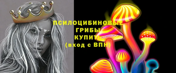 мдпв Богданович